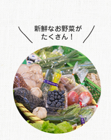 新鮮なお野菜がたくさん！